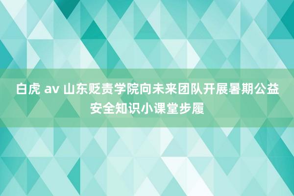 白虎 av 山东贬责学院向未来团队开展暑期公益安全知识小课堂