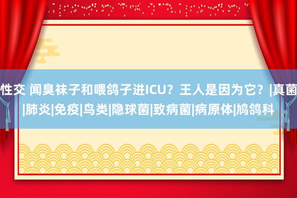 性交 闻臭袜子和喂鸽子进ICU？王人是因为它？|真菌|肺炎|免疫|鸟类|隐球菌|致病菌|病原体|鸠鸽科