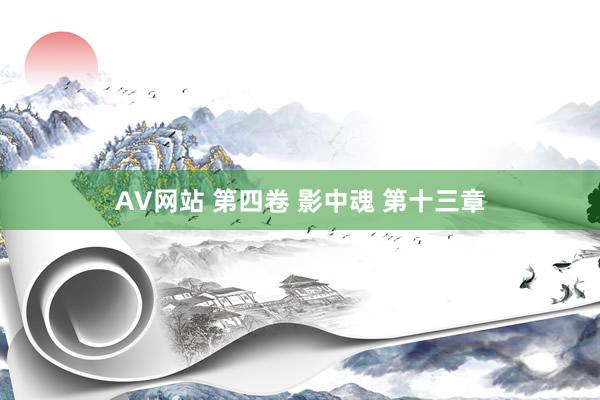 AV网站 第四卷 影中魂 第十三章