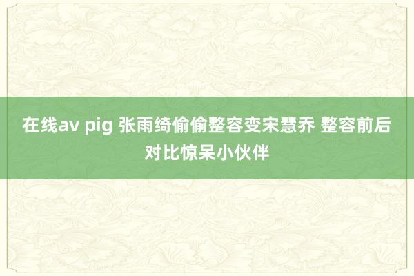 在线av pig 张雨绮偷偷整容变宋慧乔 整容前后对比惊呆小伙伴