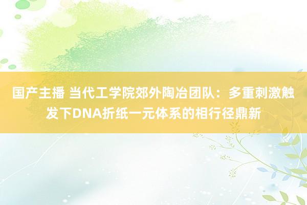 国产主播 当代工学院郊外陶冶团队：多重刺激触发下DNA折纸一元体系的相行径鼎新