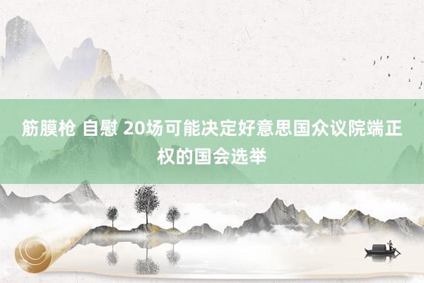 筋膜枪 自慰 20场可能决定好意思国众议院端正权的国会选举