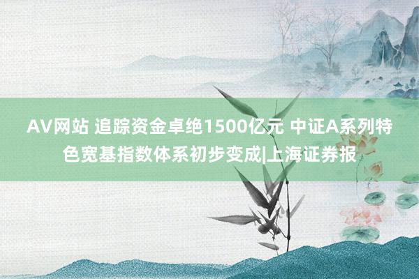 AV网站 追踪资金卓绝1500亿元 中证A系列特色宽基指数体系初步变成|上海证券报