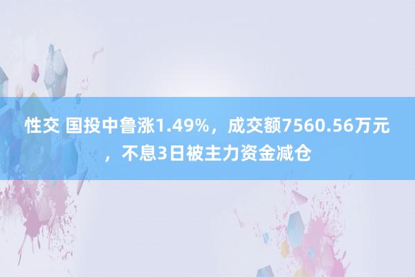 性交 国投中鲁涨1.49%，成交额7560.56万元，不息3