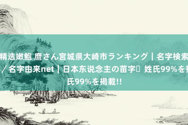 精选嫩鲍 麿さん宮城県大崎市ランキング｜名字検索No.1／名