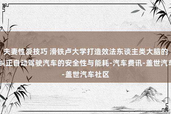 夫妻性爱技巧 滑铁卢大学打造效法东谈主类大脑的系统 纠正自动驾驶汽车的安全性与能耗-汽车费讯-盖世汽车社区