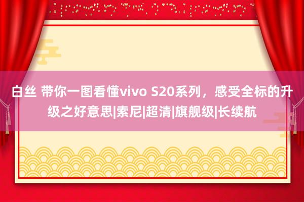 白丝 带你一图看懂vivo S20系列，感受全标的升级之好意思|索尼|超清|旗舰级|长续航